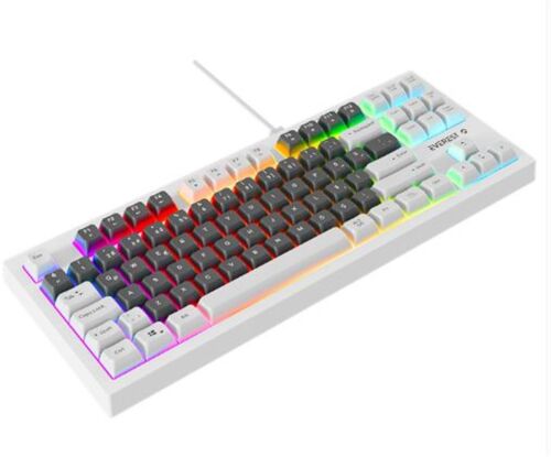 Everest KB-98 SILENT TKL Gri Mavi-Beyaz Rainbow Q Membrane Klavye - EVEREST