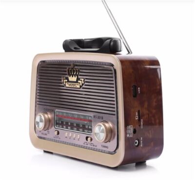 Everton RT-301 Bluetooth-USB-SD-FM Şarjlı Nostaljik Radyo El Fenerli - 2
