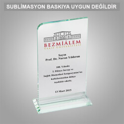Kaplamasız Kristal Plaket 1004 - 1