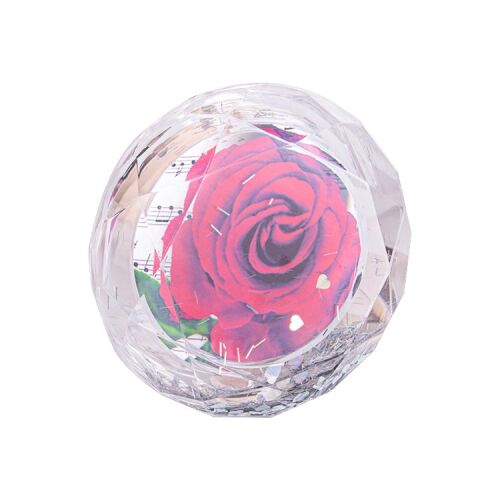 Kristal Yuvarlak Kar Küresi - OFİSOMİ-T (1)