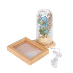 LED'li Ahşap Güllü Cam Fanus Çerçeve - 5