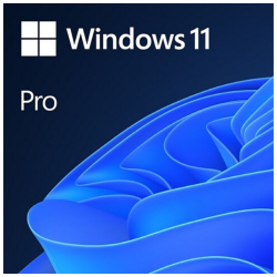 Microsoft Windows 11 Pro 32/64 Bit TR-ING ESD Elektronik Lisans (FQC-10572) - 1