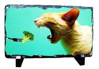 Sublimasyon Dikdörtgen Taş 20x30 cm - 5