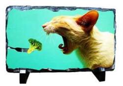 Sublimasyon Dikdörtgen Taş 20x30 cm - 6