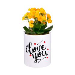 Süblimasyon Porselen Kalemlik - Kutulu - 3