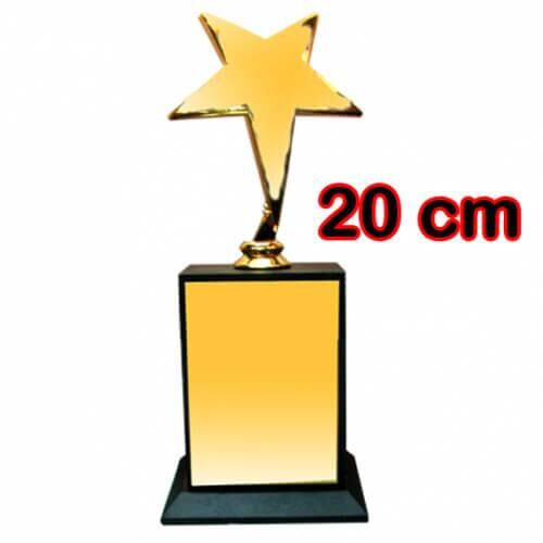 Sublimasyon Yıldız Figürlü Ödül Kupası 20 cm - 2